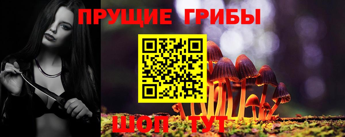 Псилоцибиновые грибы Psilocybe Ишимбай